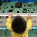 생각나는이비인후과의원 이미지