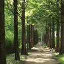 서울숲5 이미지