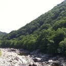 지리산계곡 Daum카페