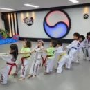 경희대 리더스 태권도장 이미지