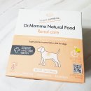 강아지맘마연구소 이미지