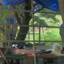 장인민박 이미지