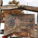 바오밥목공전문학원