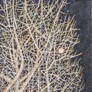 선유서로 이미지