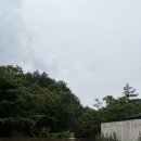 숲튜디오