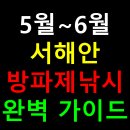 천평낚시터 | 🎣 5월~6월 서해안 방파제낚시 완벽 가이드: 어종, 포인트, 채비까지 총정리