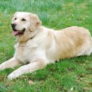 위즈동물병원 이미지