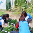 뚝섬한강공원-30 이미지