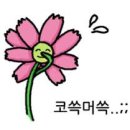 그라티아 글램핑 이미지
