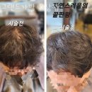 그랜드가발 이미지