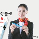 차이홍 이미지