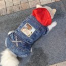 미미하우스 이미지