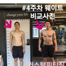 올라피티 이미지