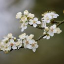 사회복지법인 춘강 제주특별자치도 장애인종합복지관 이미지