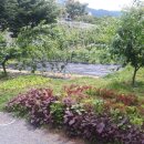 팔공농산