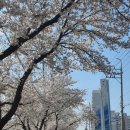 분오국수 이미지