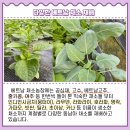 김성훈농장 이미지