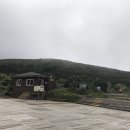 옆구리터진올레김밥