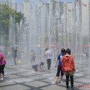 해맞이행사장 이미지