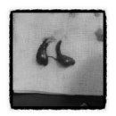 토곡동물병원 이미지