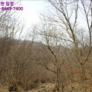 연천초고문분교장 | 고문리토지(임야)경매/연천군 연천읍 고문리 산78 /2014타경4852