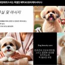 라바호텔 이미지