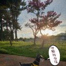 찬들공원 이미지