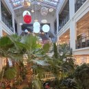 61 | 베이커리 카페 하패리 61 동두천대형카페 주말방문후기