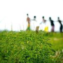 좋은사이 이미지