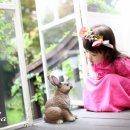 정포토스튜디오 이미지