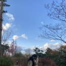 이가당나주