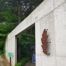숲에반하다