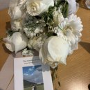 노을숲제주 | 제주스냅ㅣ‘우픽스냅’ 겨울 웨딩촬영 솔직후기-1 (스튜디오/숲/들판/바다/드론샷까지!)