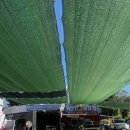 상현손세차장 이미지