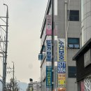 다시사랑받개 | 중랑 상봉 유기견 카페 다시사랑받개 내돈내산 후기 가격 꿀팁