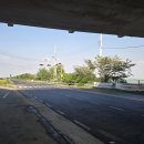 장안대교(밑) 이미지