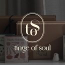 틴지오브소울