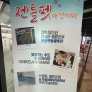 힐링 펫 카페 이미지