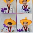 신세계 태권도 이미지