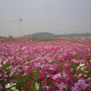 꽃동산유통