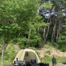 팔공산금화자연휴양림 이미지