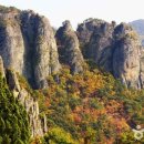 (주)본비코리아 이미지