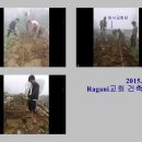 만석성결교회 티스토리