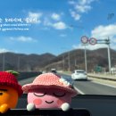 코유(coyu)