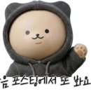 피노키오문구