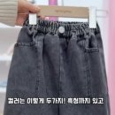 스프링데이 이미지