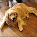 대원산소 이미지