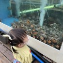 마라도별장민박 이미지