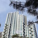 11650-13-10-13 이미지