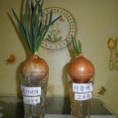 헤카림PC방 이미지